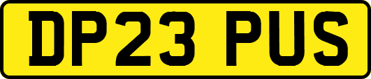 DP23PUS