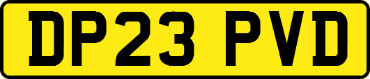 DP23PVD