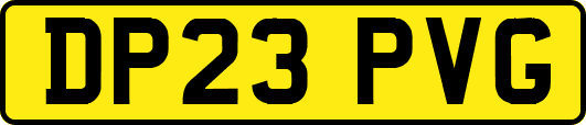 DP23PVG