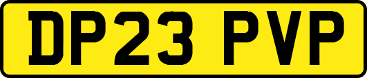 DP23PVP