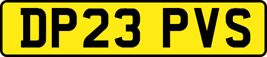 DP23PVS