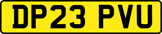 DP23PVU