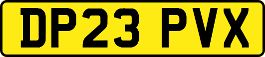 DP23PVX