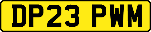 DP23PWM