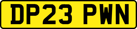 DP23PWN