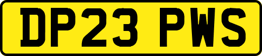 DP23PWS