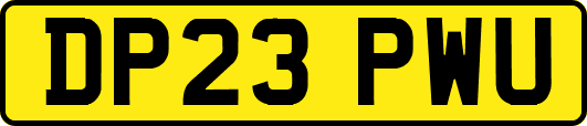 DP23PWU