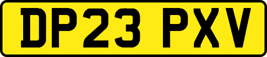 DP23PXV