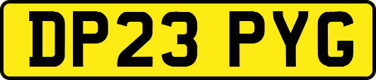 DP23PYG