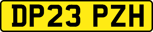 DP23PZH