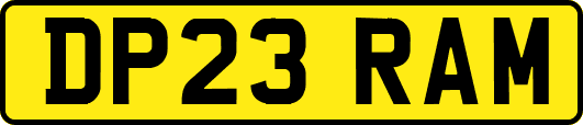 DP23RAM