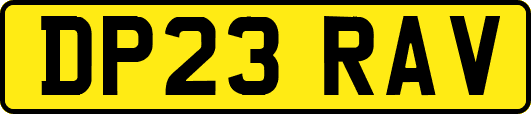 DP23RAV