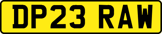DP23RAW