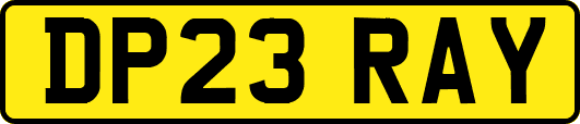 DP23RAY
