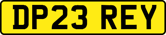DP23REY