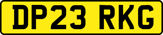DP23RKG