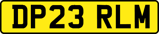 DP23RLM