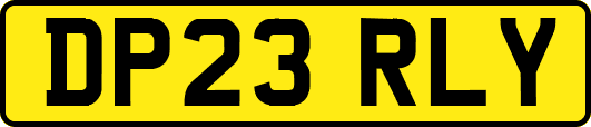 DP23RLY