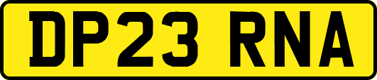 DP23RNA