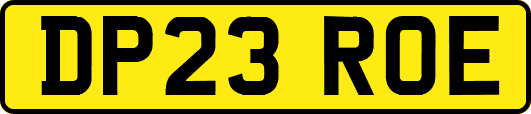 DP23ROE