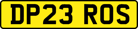 DP23ROS