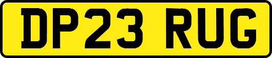 DP23RUG