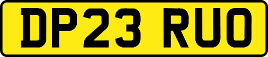DP23RUO