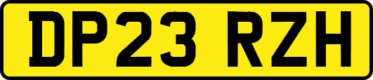 DP23RZH