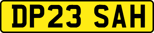 DP23SAH
