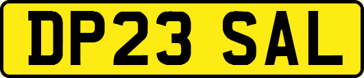 DP23SAL