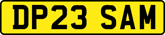 DP23SAM