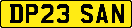 DP23SAN