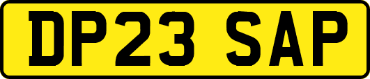 DP23SAP