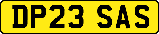 DP23SAS