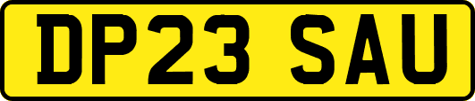DP23SAU