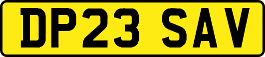 DP23SAV