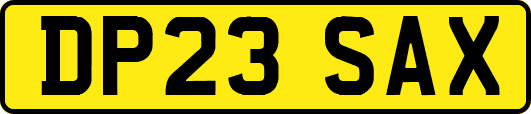 DP23SAX