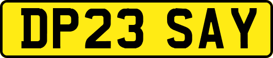 DP23SAY