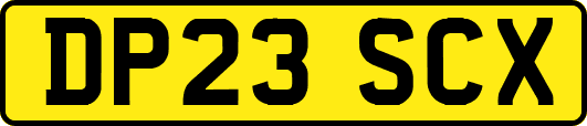 DP23SCX