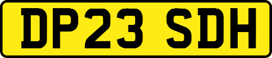 DP23SDH