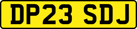 DP23SDJ