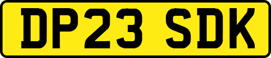 DP23SDK