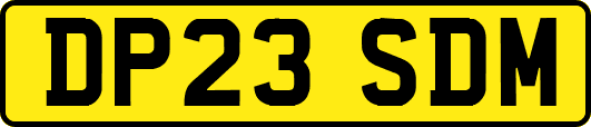 DP23SDM