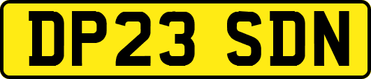 DP23SDN