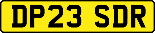 DP23SDR