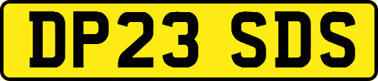 DP23SDS