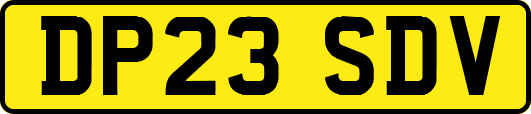DP23SDV