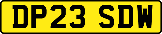 DP23SDW
