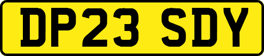 DP23SDY