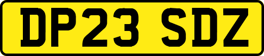 DP23SDZ